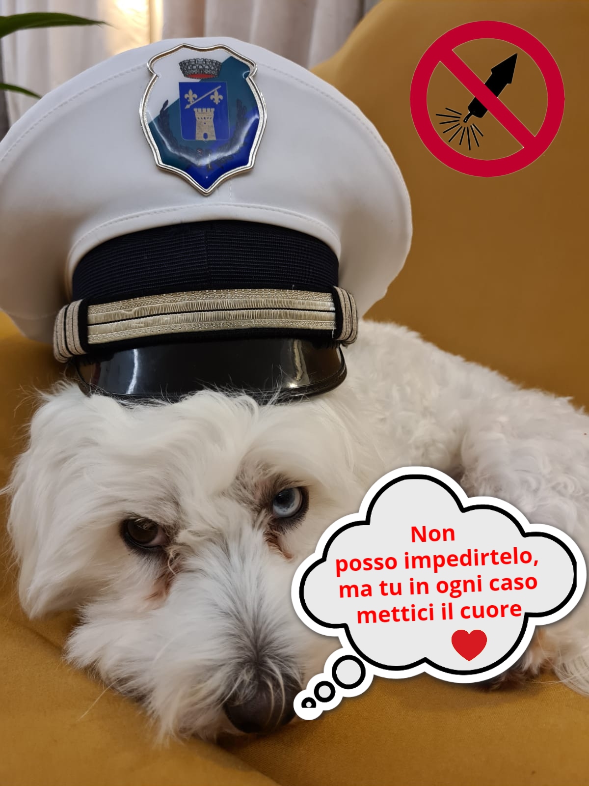 Sensibilizzazione articoli pirotecnici